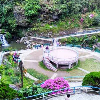 Rock Garden